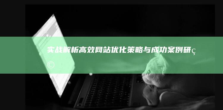 实战解析：高效网站优化策略与成功案例研究